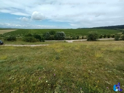 Eladó lakóövezeti telek - Budajenő, Domb utca