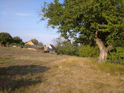 Eladó lakóövezeti telek - Cibakháza, Jász-Nagykun-Szolnok megye