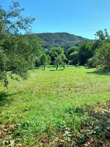 Eladó lakóövezeti telek - Csobánka, Központ