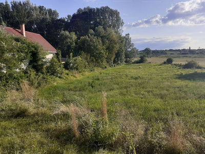 Eladó lakóövezeti telek - Kajászó, Rákóczi utca