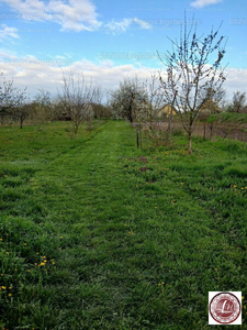 Eladó egyéb telek - Újrónafő, Győr-Moson-Sopron megye