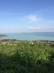 Eladó pince, présház - Badacsonytomaj, Ibos Ferenc út 29.