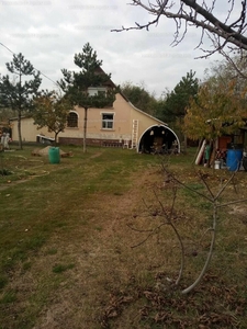 Eladó tanya - Domaszék, Csongrád-Csanád megye
