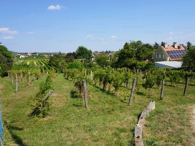 Eladó termőföld, szántó - Csopak, Szeder utca 7.