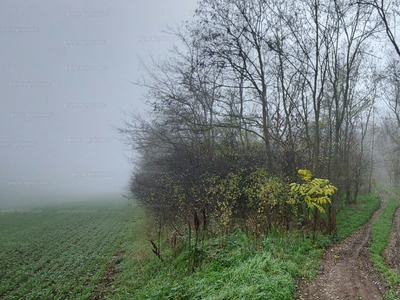 Eladó termőföld, szántó - Mende, Külterület