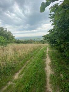 Eladó üdülőövezeti telek - Győrújbarát, Baráthegy