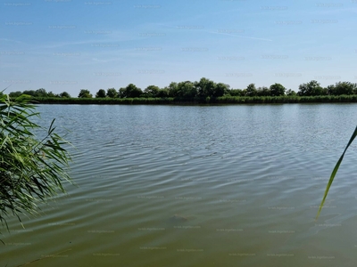 Eladó üdülőövezeti telek - Nagyrév, Holt-Tisza-part