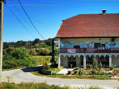 Eladó utcai bejáratos üzlethelyiség - Miskolc, Lyukóvölgyi út