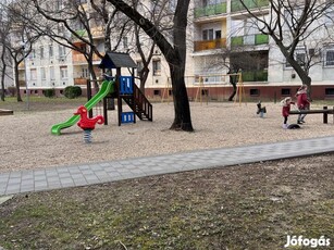 Debrecen Libakert Nyár utca