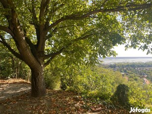 Örök panorámás, a Velencei-tóra néző összközműves kétszintes nyaraló