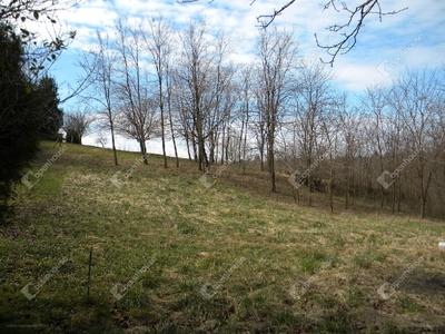 Ebergény, Zalaegerszeg, ingatlan, telek, 3.000.000 Ft