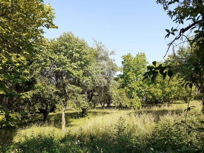 Máriamakk, Budakeszi, ingatlan, telek, 98.800.000 Ft