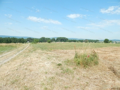 Raposka, ingatlan, mezőgazd. ingatlan, 12.500.000 Ft