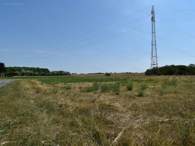 Rózsadomb, Szolnok, ingatlan, telek, 28.200.000 Ft