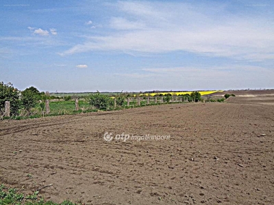 Sárbogárd, ingatlan, telek, 59.990.000 Ft