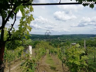 Csodaszép panorámával birtok eladó Zalaegerszeg-Öreghegyen