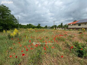 Eladó Telek, Délegyháza