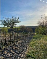 Eladó Telek, Komárom-Esztergom megye Tárkány