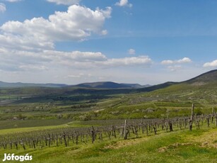 Eladó telek, Sátoraljaújhely