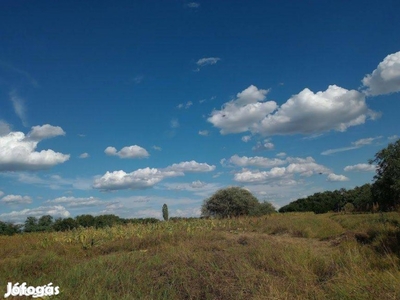 Rákoshegy 953m2 Eladó Szántó 1/1 Erdőkürt Erdő Utca