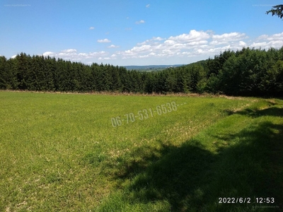 Szakonyfalu, ingatlan, mezőgazd. ingatlan, 373245 m2, 100.000.000 Ft