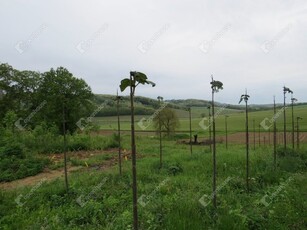 Eladó telek Babosdöbréte