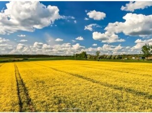 Eladó telek Szombathely, Lendvai Ernő utca