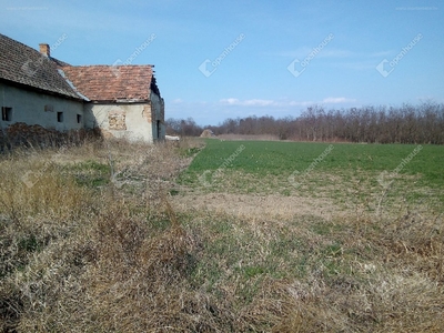 Csépánytó, Siófok, ingatlan, mezőgazd. ingatlan, 853 m2, 45.000.000 Ft