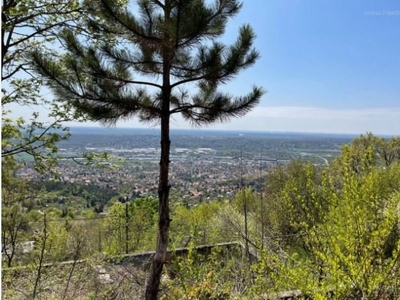 Frankhegy, Budaörs, ingatlan, telek, 25.000.000 Ft