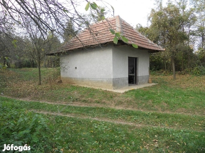 Aszaló domboldalban Pince eladó