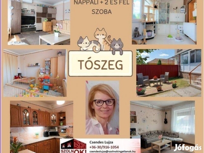 Nappali + 2 és fél szobás ház eladó- Tószeg