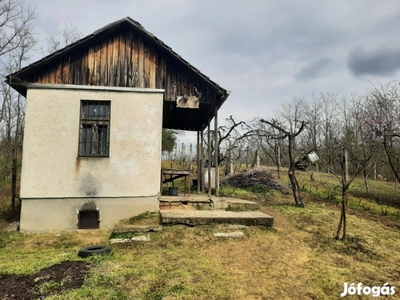 Szőlő eladó, borházzal, pincével!