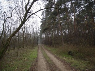 760 nm külterületi telek, Debrecen agglomerációjában