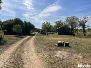 XVII. Kerület, Szőlőliget lkp környékén lévő utca, 835 m2-es, telek