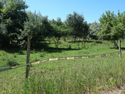 Feketehegy, Székesfehérvár, ingatlan, telek, 10.900.000 Ft