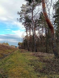 Győr, ingatlan, mezőgazd. ingatlan, 19794 m2, 22.000.000 Ft