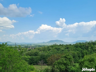 Lesenceistvándon panorámás szőlő eladó