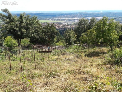 Örökpanorámás telek Budaörs-Frankhegy