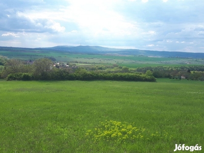 Pereked szőlőhegyen 4.3 hektár szántó, legelő eladó