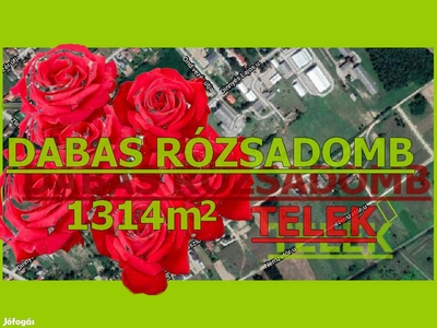 Dabas Rózsadombjának dinamikusan fejlődő részén,Telek Eladó - Dabas, Pest - Telek, föld