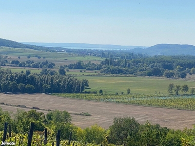 Gyulakeszi külterületén a Csobáncon panorámás szőlőterület eladó - Gyulakeszi, Veszprém - Telek, föld