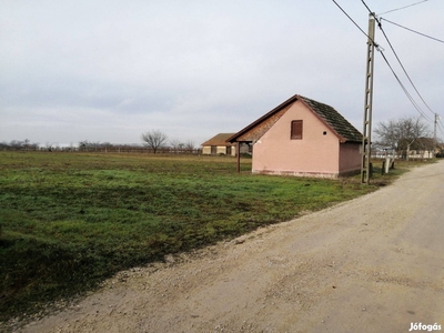 Kiskőrösön a diófa utcában földterület Eladó - Kiskőrös, Bács-Kiskun - Telek, föld