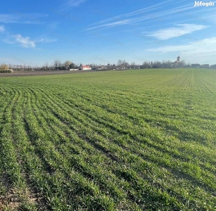 Összközműves építési telek Balatonszabadiban - Balatonszabadi, Somogy - Telek, föld