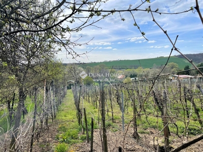 Eladó átlagos állapotú ház - Bicske