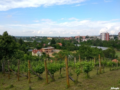 Panorámás, 2400 m2 beépíthető - Zalaegerszeg, Zala - Telek, föld