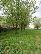 Eladó telek Pécs, Meszesi lakótelep, Kishegyi dűlő