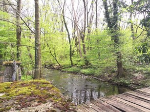 Eladó telek Szentendre