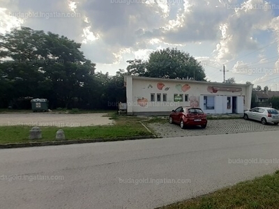 Kiadó utcai bejáratos üzlethelyiség - Gödöllő, Lovarda utca