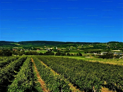 Eladó egyéb telek - Balatoncsicsó, Veszprém megye