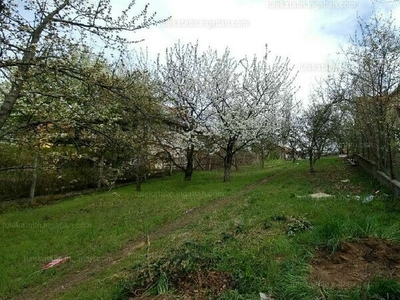 Eladó lakóövezeti telek - Őrbottyán, Pest megye